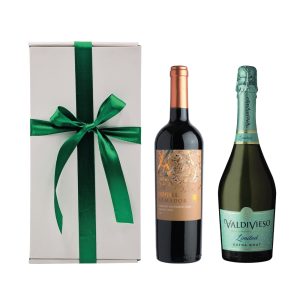 Regalo Vino y Espumante 2 (60)